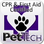 1STCPR